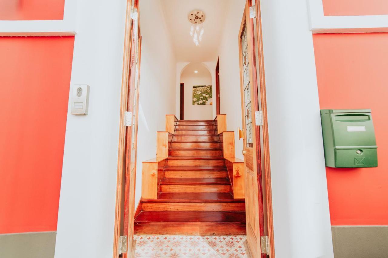 Casa Strelitzia Apartment Funchal  Luaran gambar